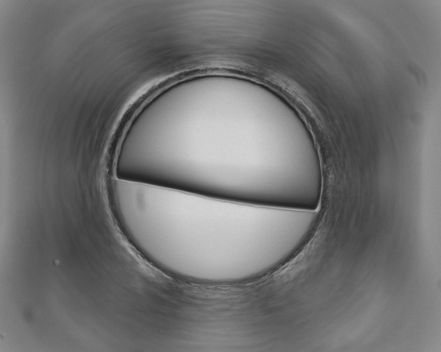X0000110881024200906180940