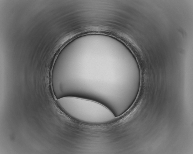 X0000110881025200906180940