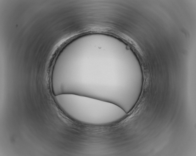 X0000110881027200906180940