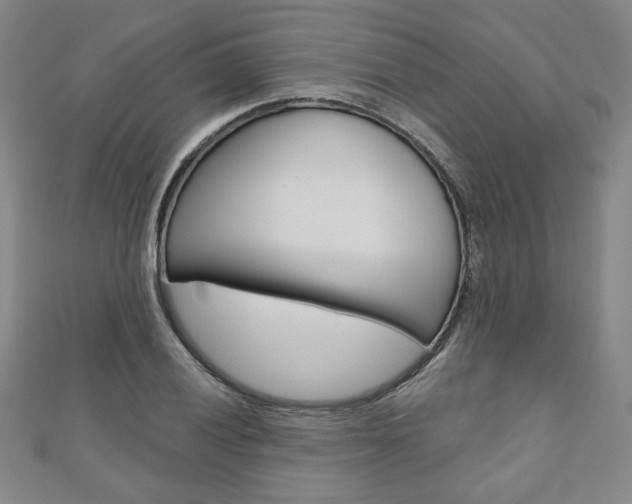 X0000110881028200906180940