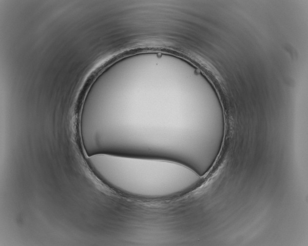 X0000110881029200906180941