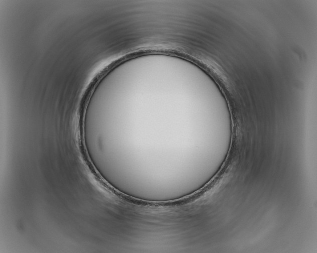 X0000110881030200906180941