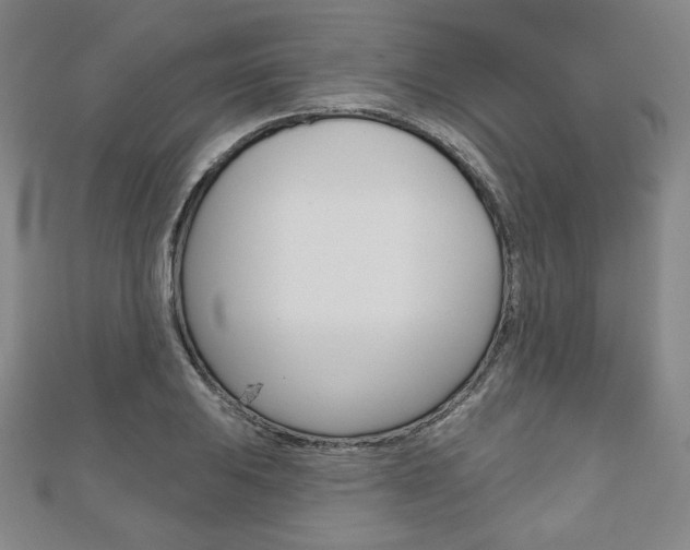 X0000110881031200906180941