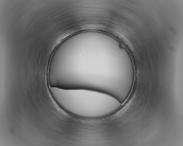 X0000110881033200906180941