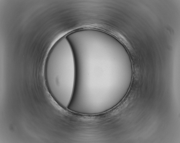 X0000110881036200906180941