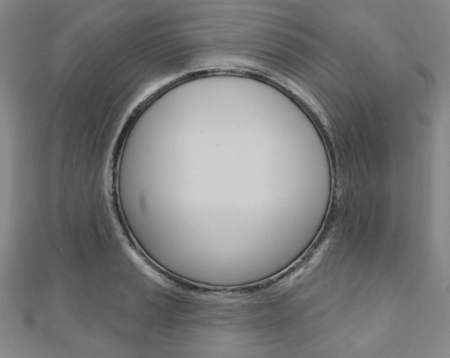 X0000110881037200906180941