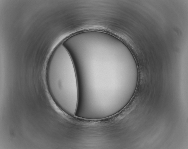 X0000110881038200906180941