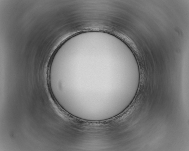 X0000110881039200906180941