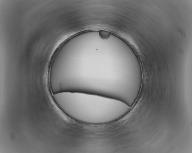 X0000110881040200906180941