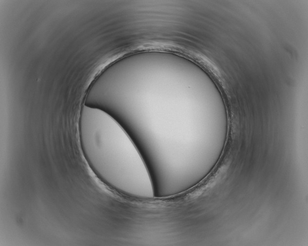 X0000110881041200906180941