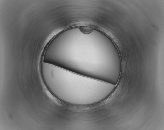 X0000110881042200906180941