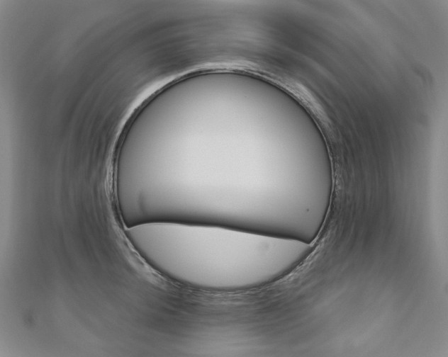 X0000110881044200906180941