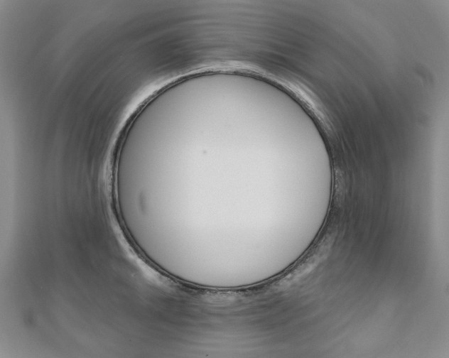 X0000110881046200906180941