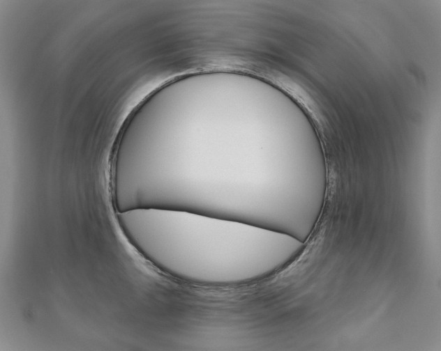 X0000110881047200906180941