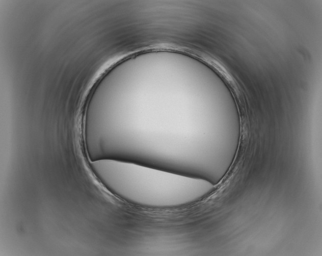 X0000110881048200906180941