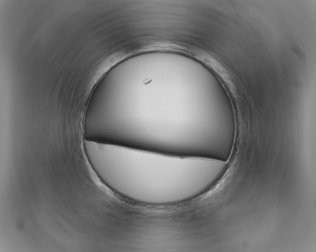 X0000110881049200906180941