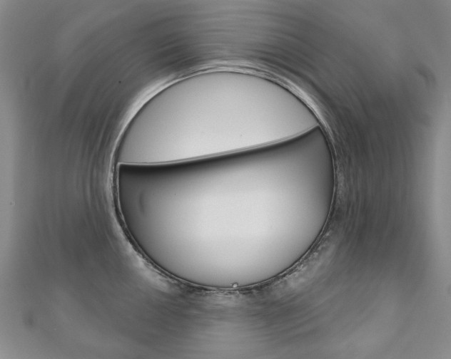 X0000110881050200906180941