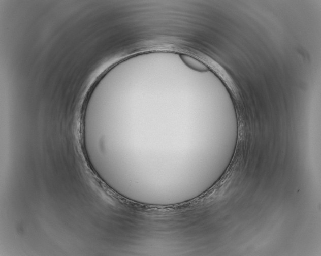 X0000110881051200906180941