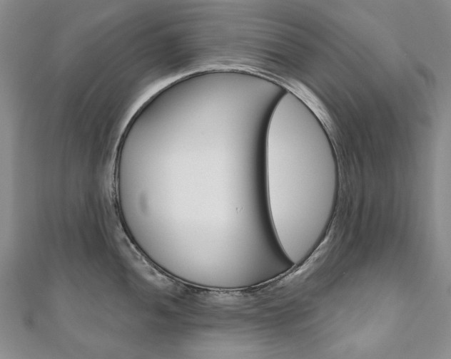 X0000110881052200906180941