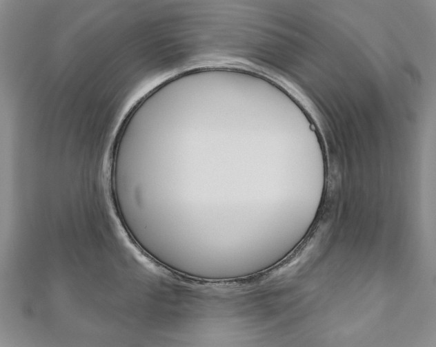 X0000110881053200906180941