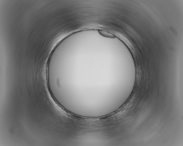 X0000110881055200906180941