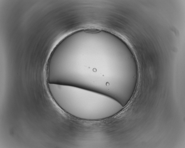 X0000110881056200906180941