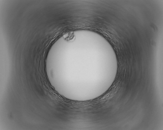 X0000110881057200906180940