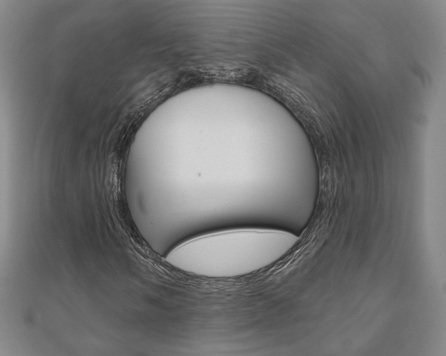 X0000110881058200906180940