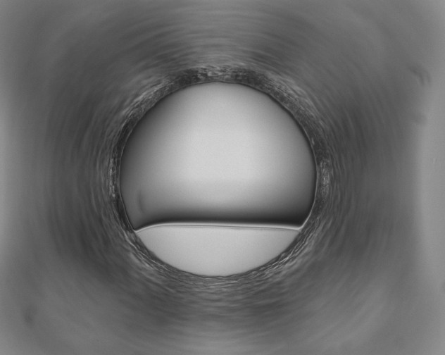 X0000110881060200906180940