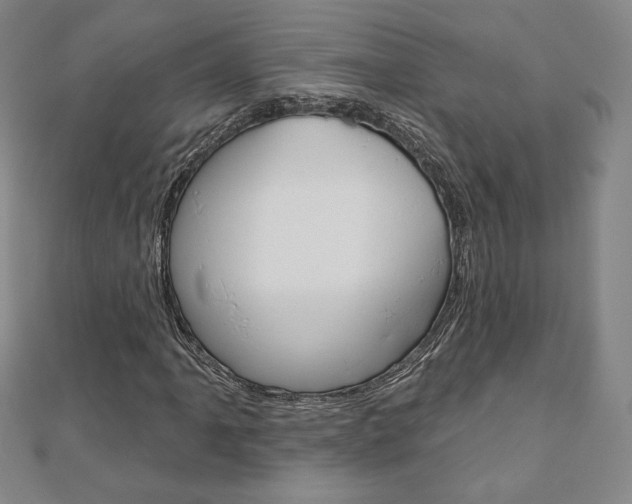 X0000110881061200906180940