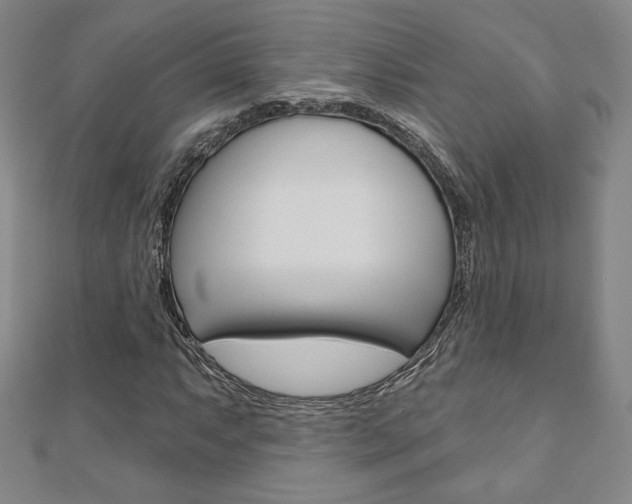 X0000110881063200906180940