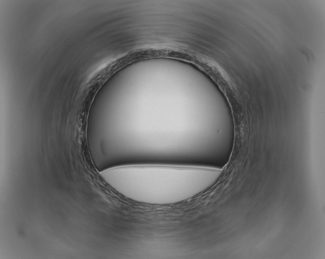 X0000110881064200906180940