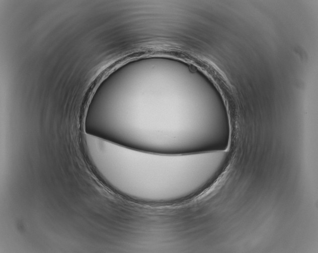 X0000110881065200906180940