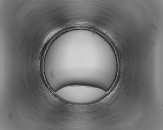 X0000110881066200906180940