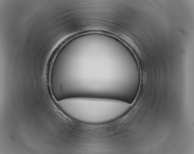 X0000110881068200906180940