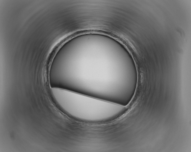 X0000110881069200906180940