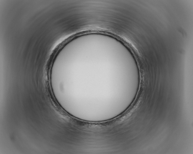 X0000110881070200906180940