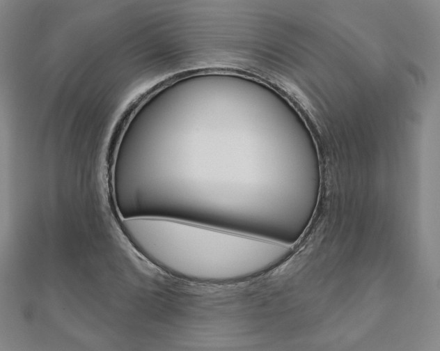X0000110881072200906180940