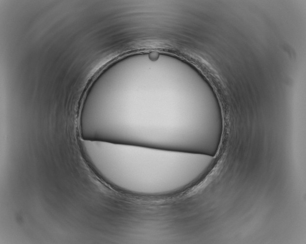 X0000110881073200906180940