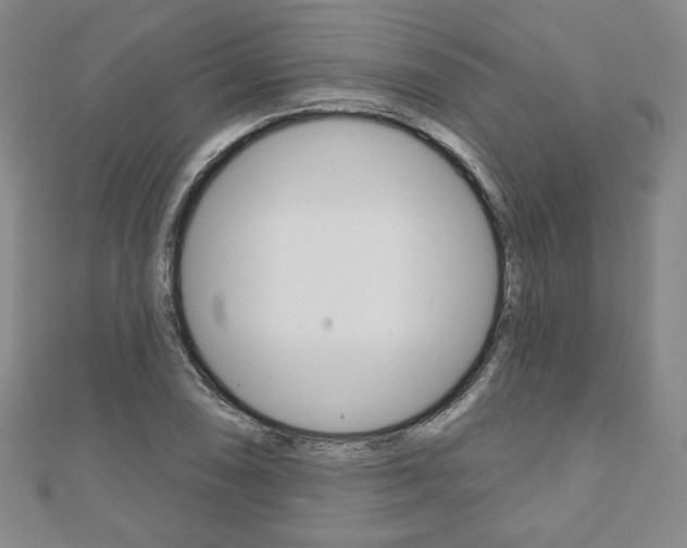 X0000110881074200906180940