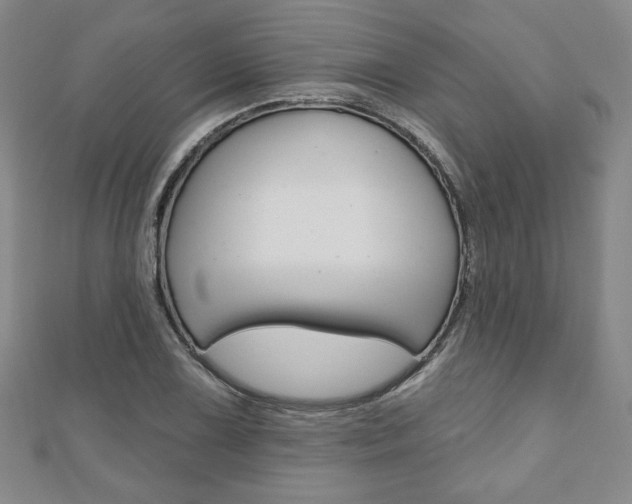 X0000110881075200906180940