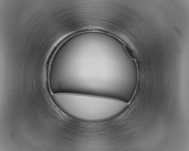 X0000110881076200906180940