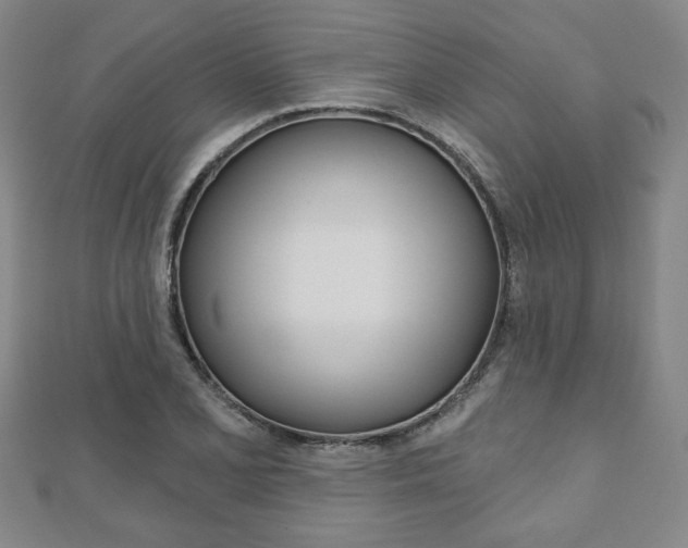 X0000110881077200906180940