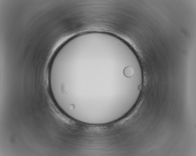 X0000110881078200906180940