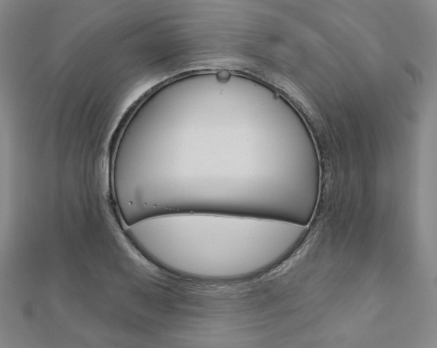 X0000110881079200906180940