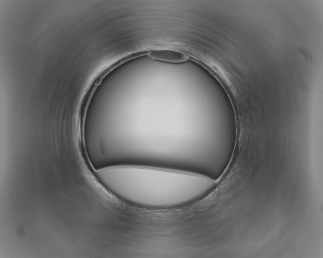 X0000110881080200906180940