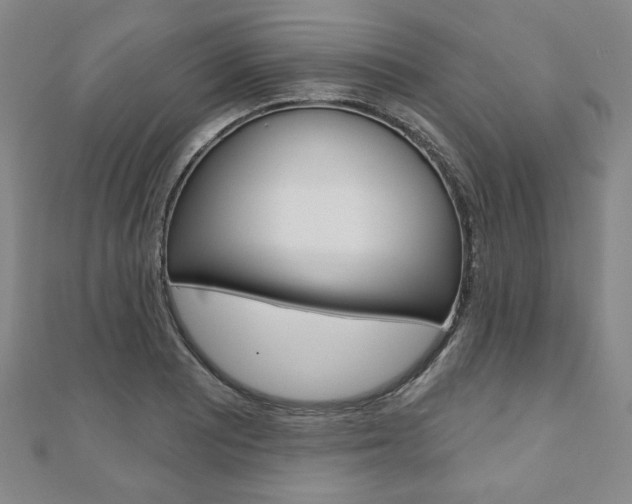 X0000110881081200906180940