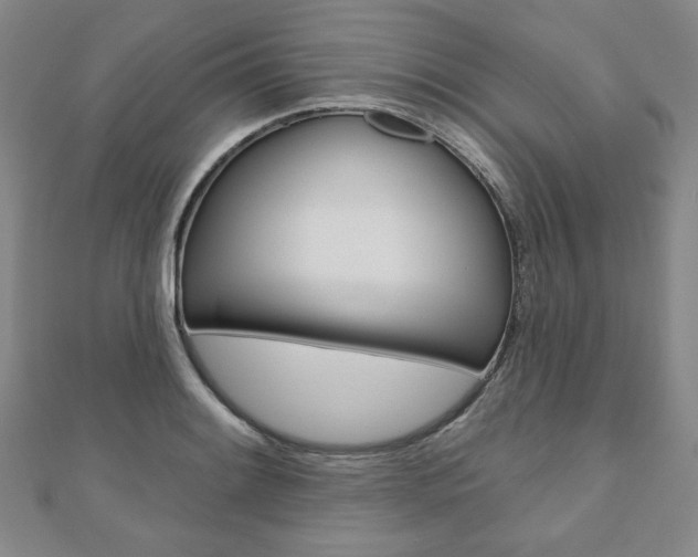 X0000110881084200906180940