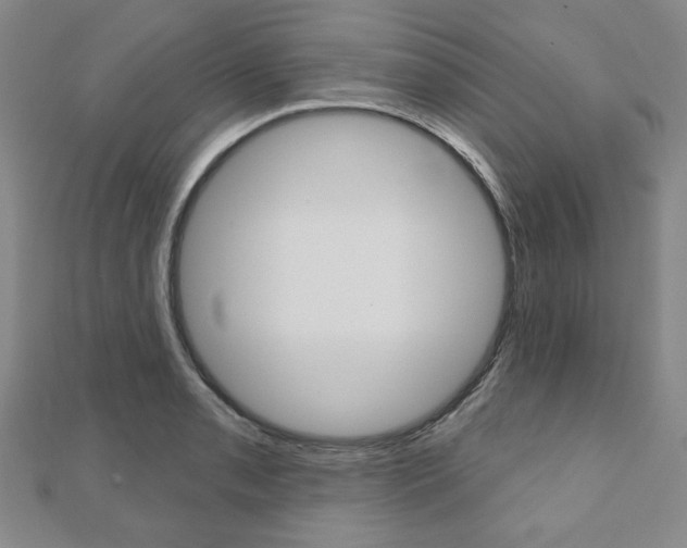 X0000110881085200906180940