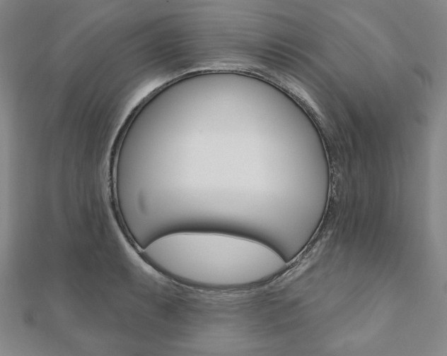 X0000110881087200906180940